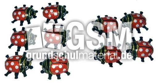 Käfer6+4.jpg